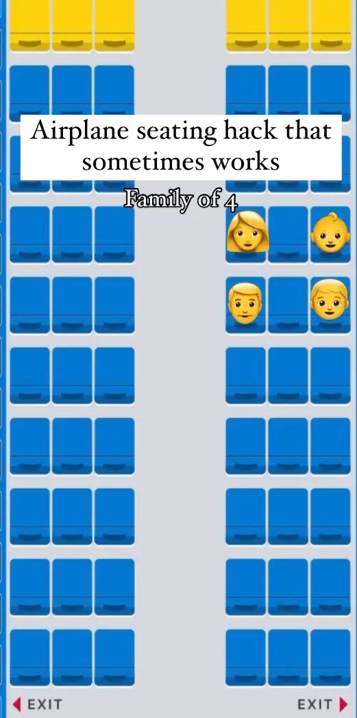 But her airplane seating hack didn't go down well with a lot of social media users (Instagram/@whereisbriggs)