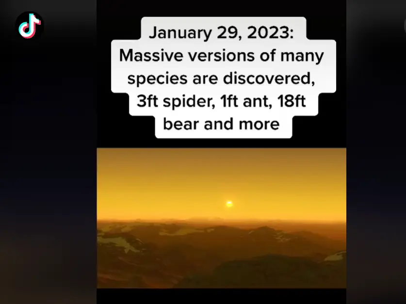 The years ahead are 'dark times' according to the time traveller.