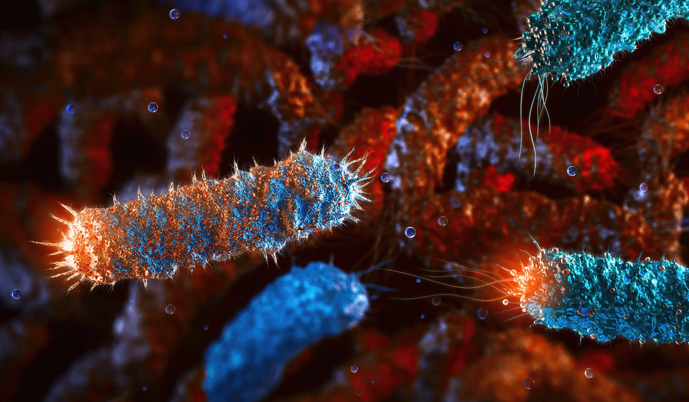 Salmonella cases are currently at a 10-year high (Getty Stock Images)