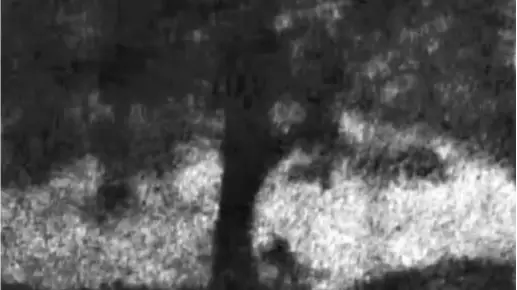 PA/Crown Prosecution Service