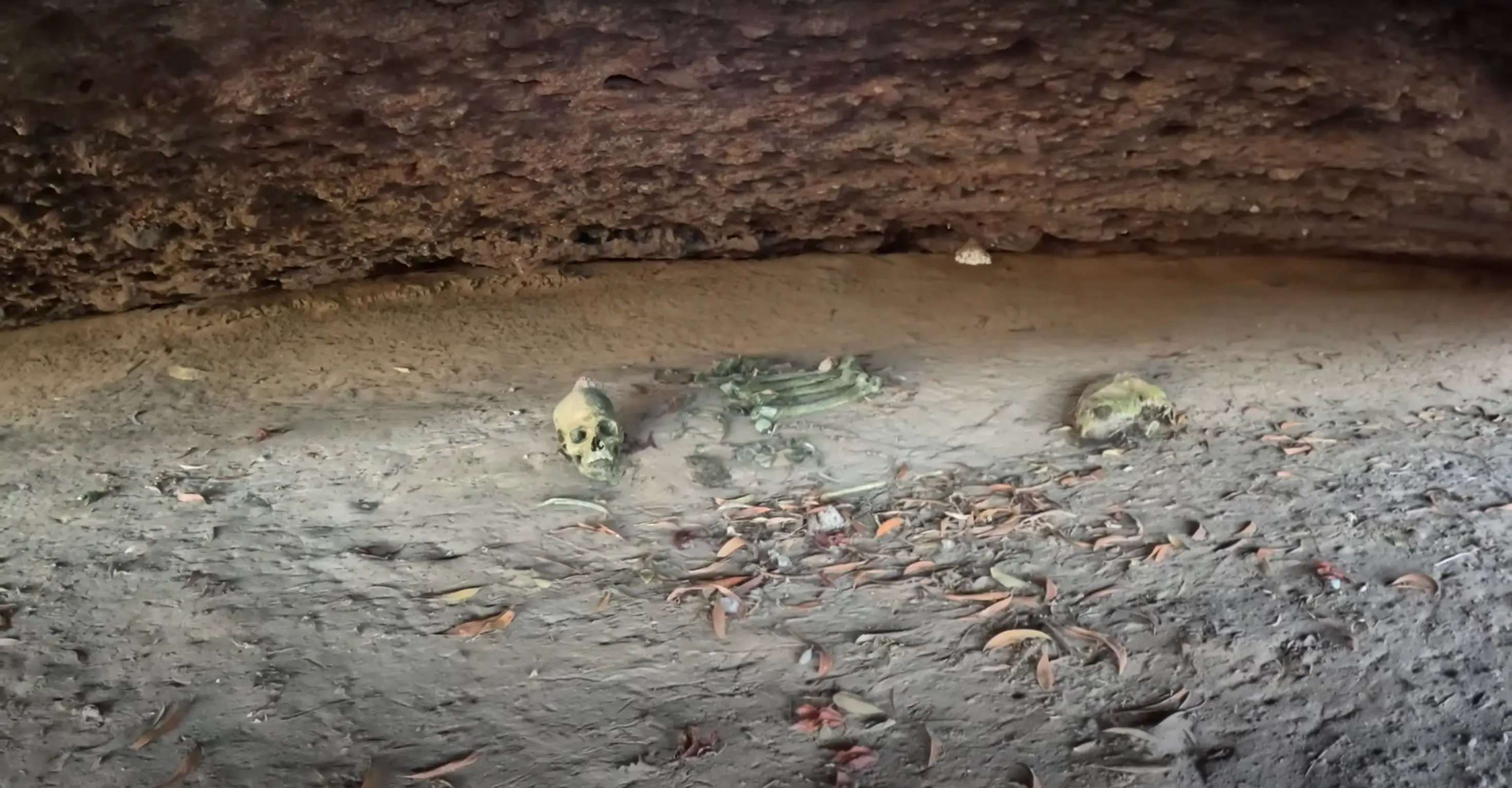 Both of the explorers couldn't believe what they stumbled upon (Youtube/B2B Castaways (Strick and Fran))