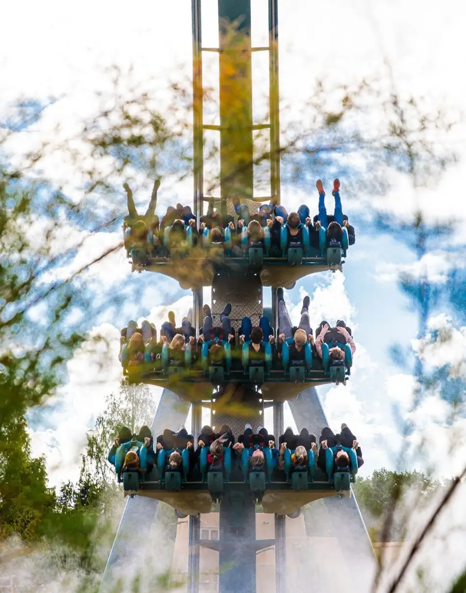 A different theme park to Disneyland was suggested by one TikTok user.