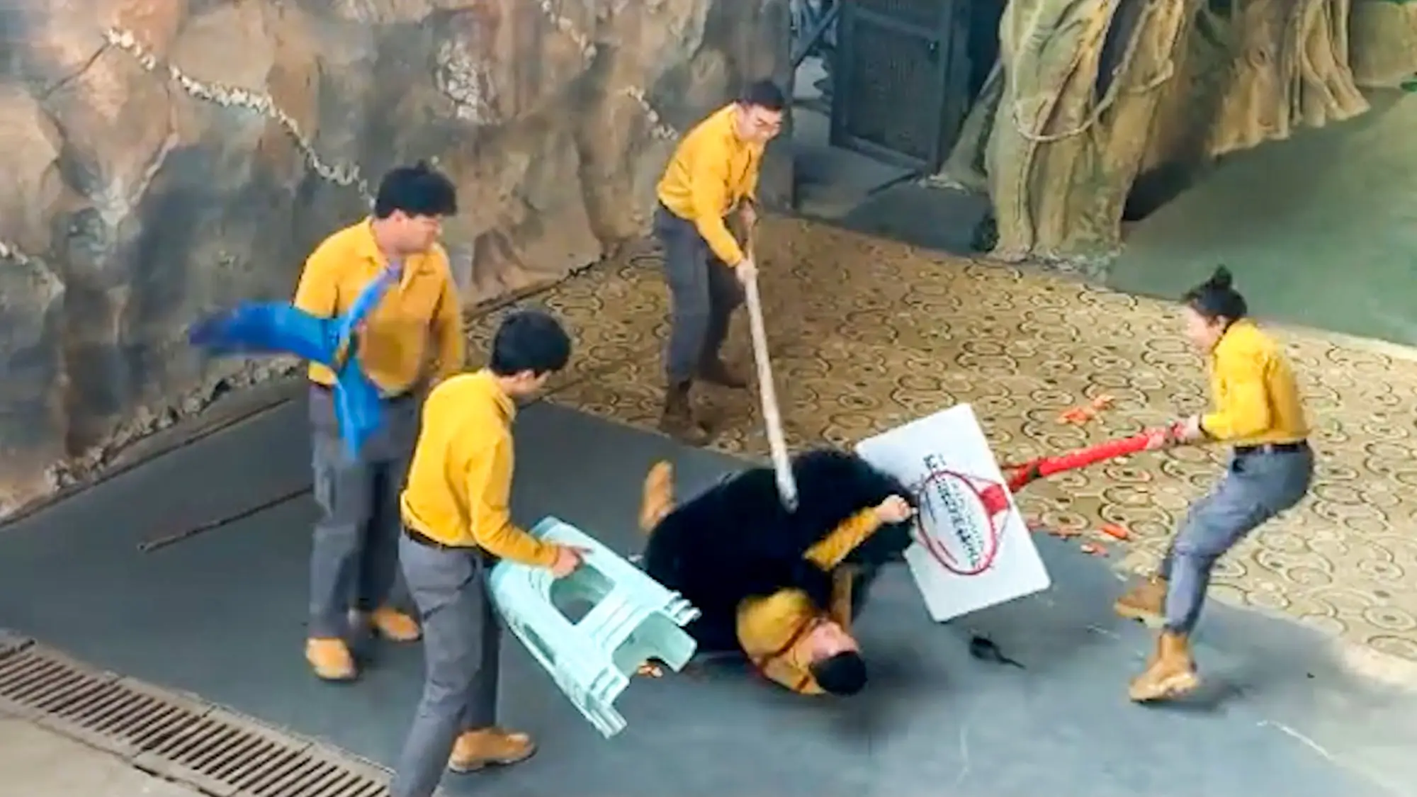 Footage captured by onlookers showed trainers at the park attempting to separate the pair with various items (NEWSX)