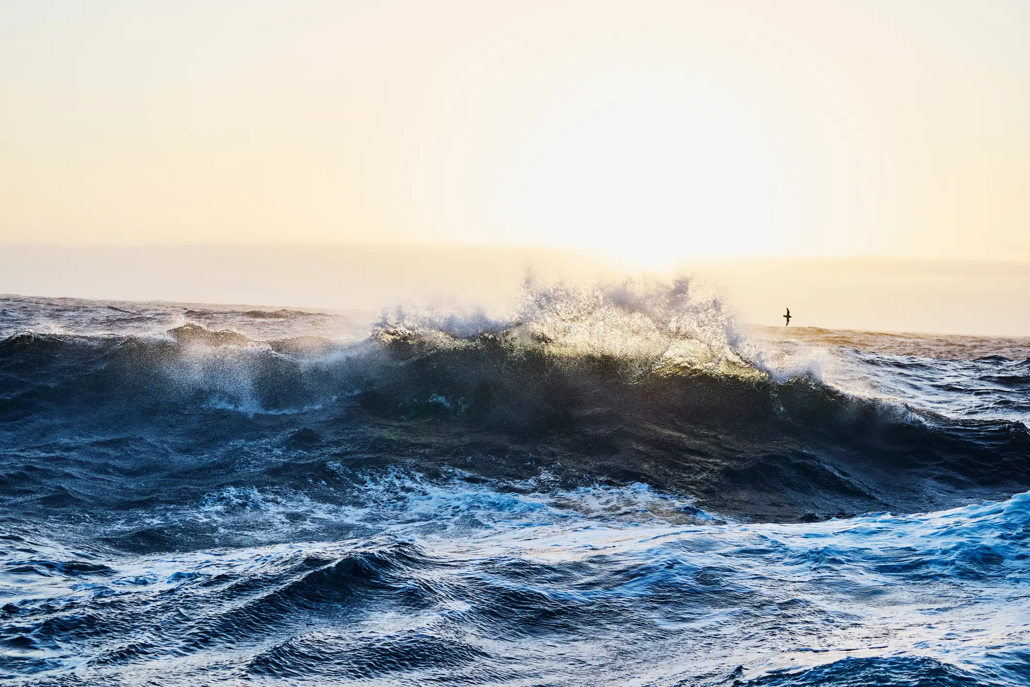 Professor Strømme argues that consciousness is the water and our minds are the waves (Getty Stock Images)