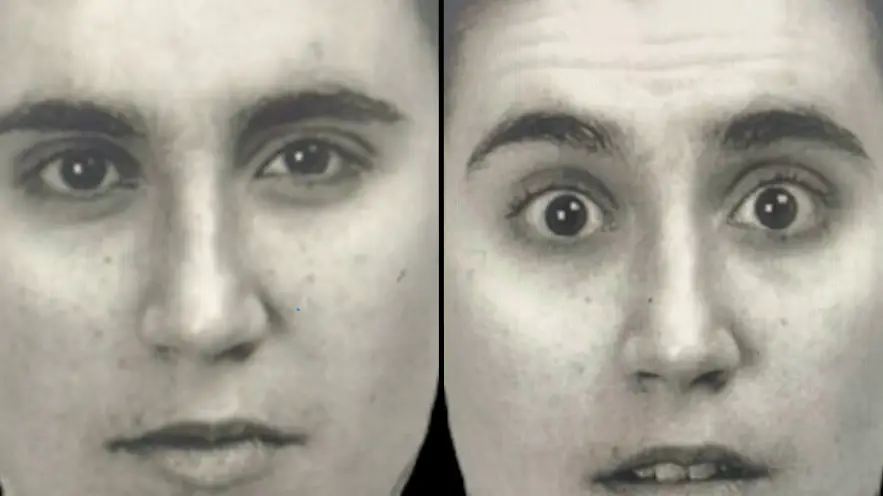 TikTok/@drgeorgesachs