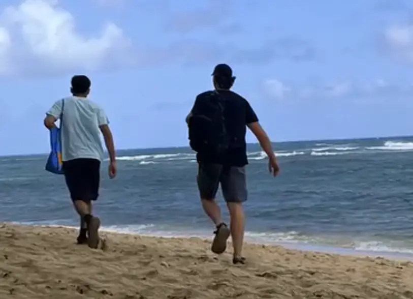 Police are looking for two men who appeared to attack an endangered seal pup with a rock (Hawaii News Now/Aly Ishikuni)