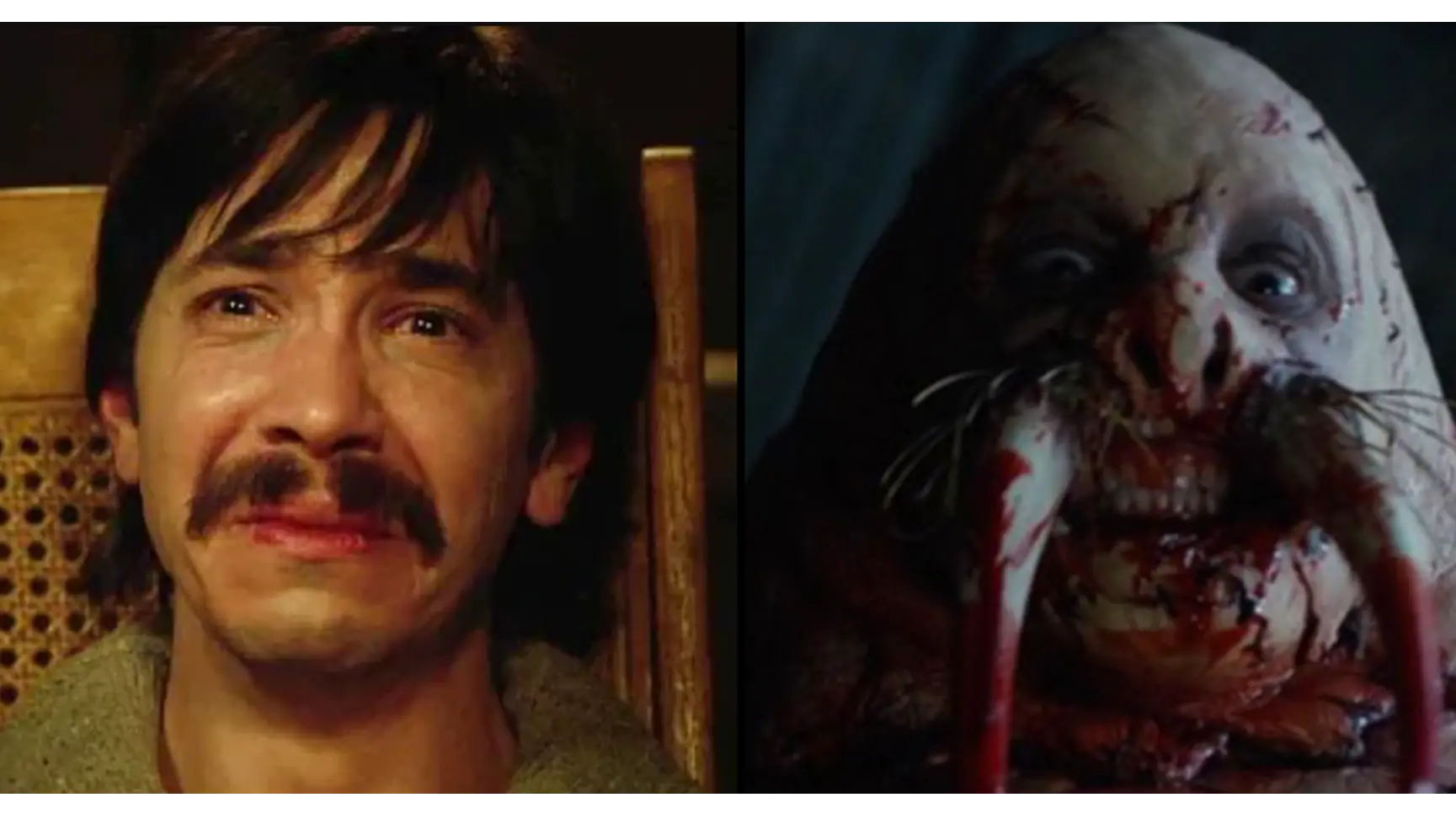 Traumatising movie ‘worse than the Human Centipede’ was actually inspired by true events