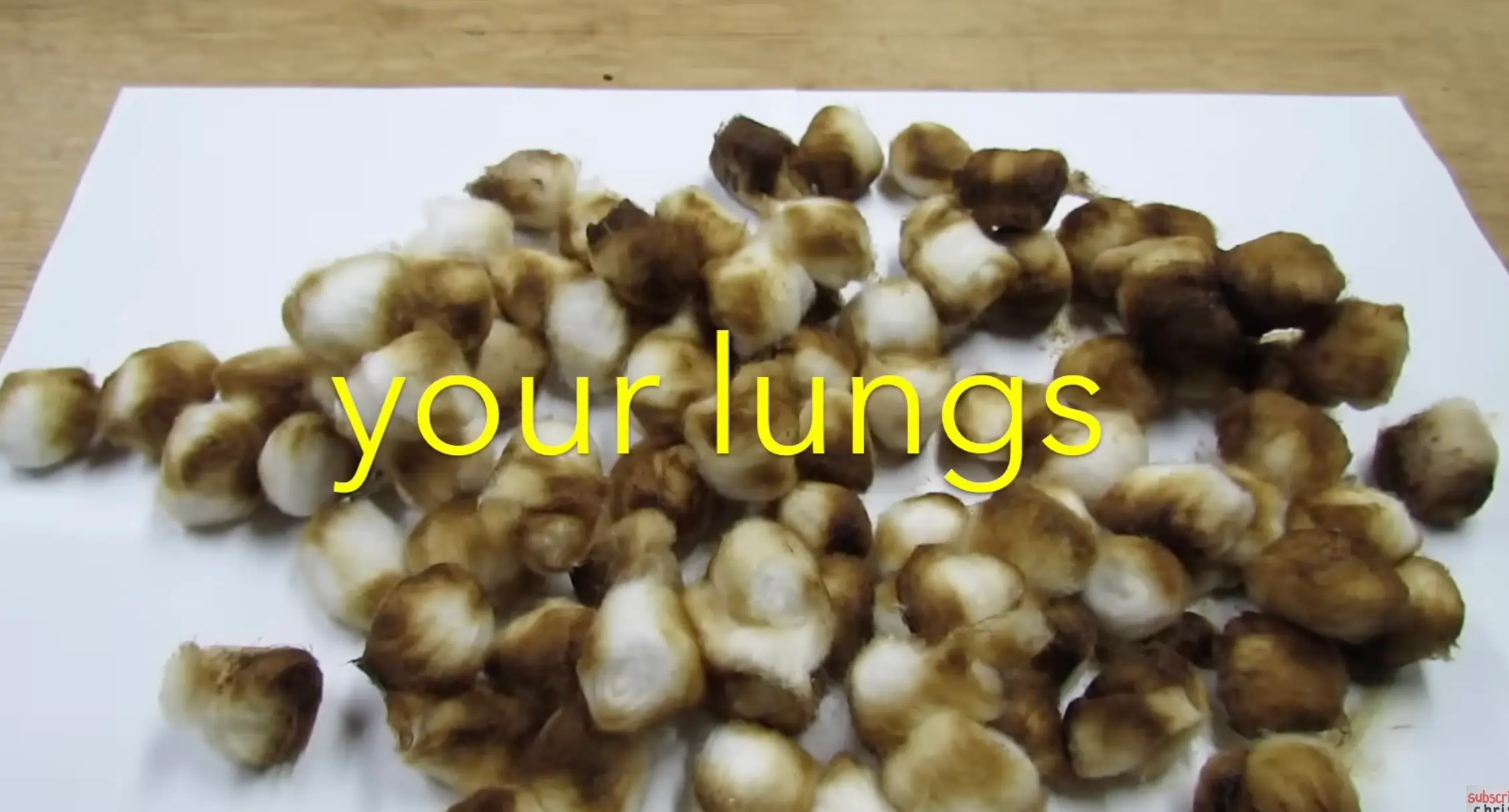 Notap's experiment might be the wake-up call you need to quit (YouTube/@chrisnotap)