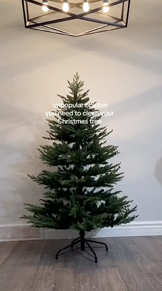 TikTok user Rhema (@rhema.br) has gone viral on the platform after sharing her latest 'unpopular opinion' video.