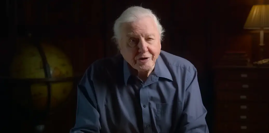 Attenborough has drawn on a lifetime of knowledge (Altitude Films)