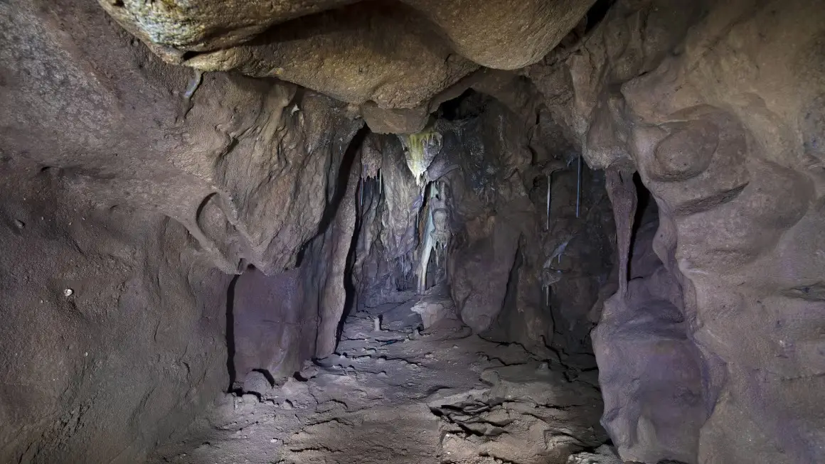 The findings about Gorham's Cave in Gibraltar may have 'changed human history' (Gibraltar National Museum)