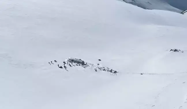 Society of the Snow tells the true story of the horrific plane crash and the survivors' efforts to reach safety.