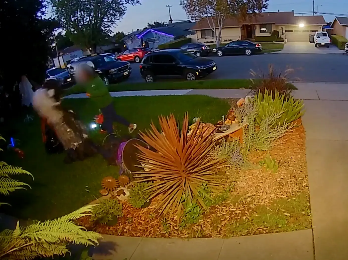 She punched the decorations over multiple times (Ring/Tonyia Sampognaro)