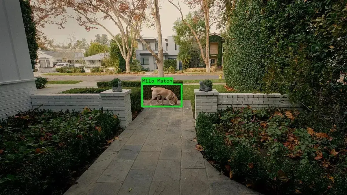 The proposed feature was intended to find lost pets (Ring)