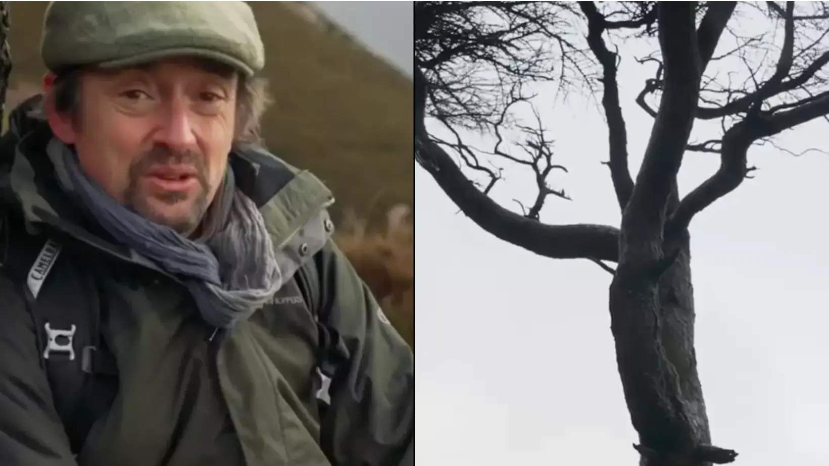 Richard Hammond had 'really vivid' coma dream that took him to 'happy place' after Top Gear crash