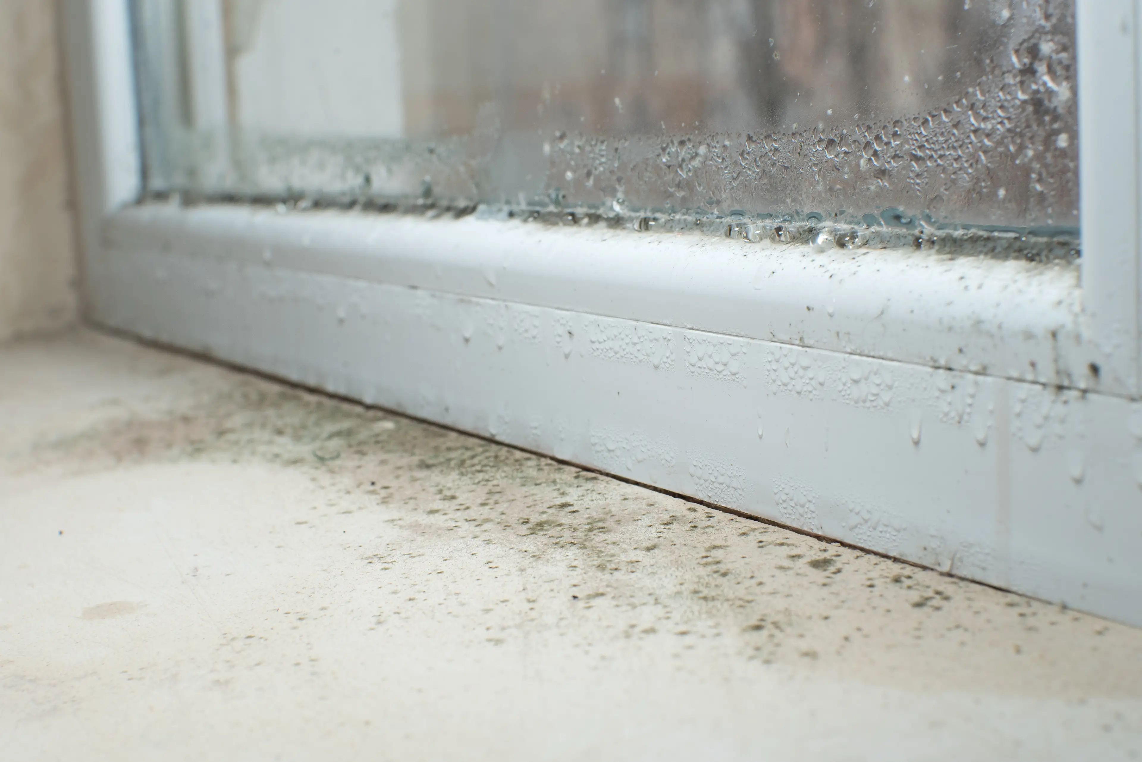 Condensation can lead to dampness and mould. (Getty Stock Photo)