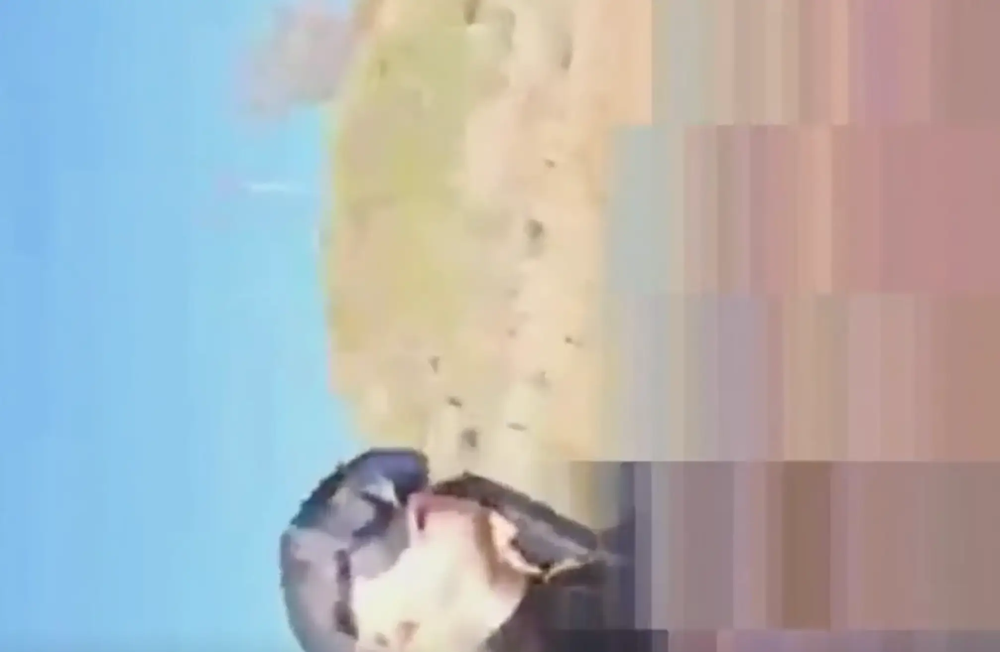 The student lost a leg in the ordeal, but is lucky to be alive. (Instagram/@matteo_mariotti__)