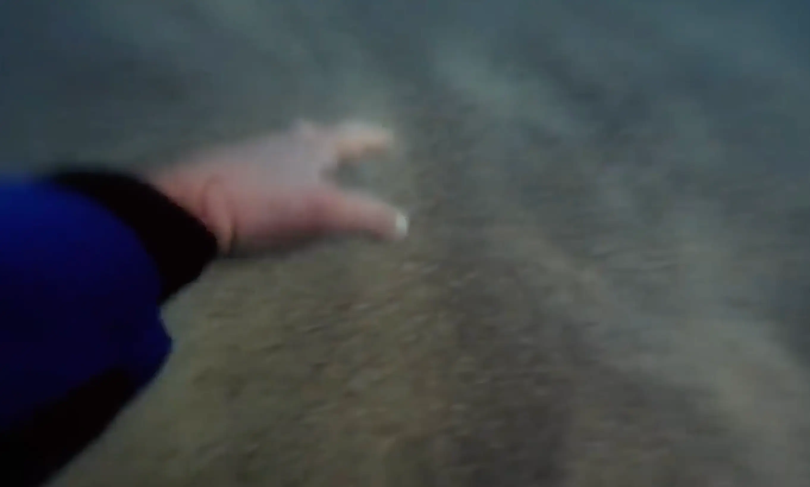 It's not for the faint-hearted.