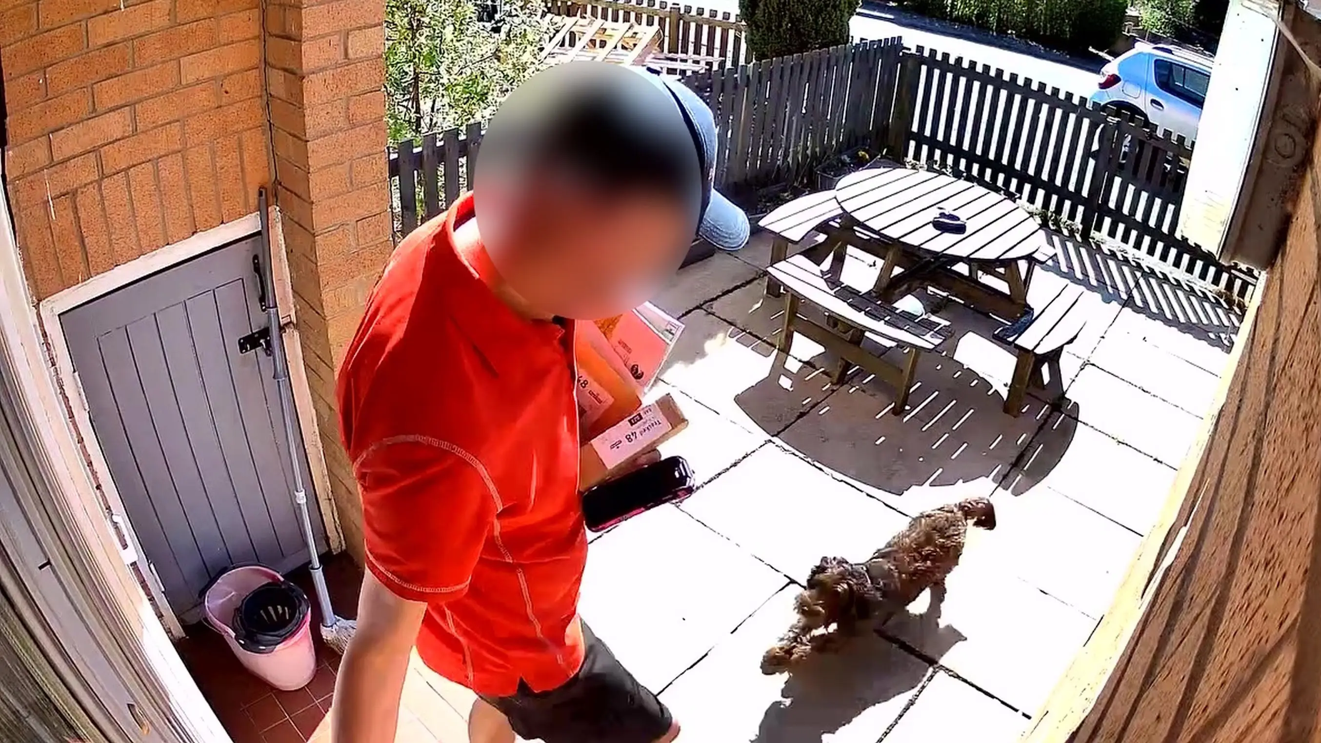 Kennedy News and Media