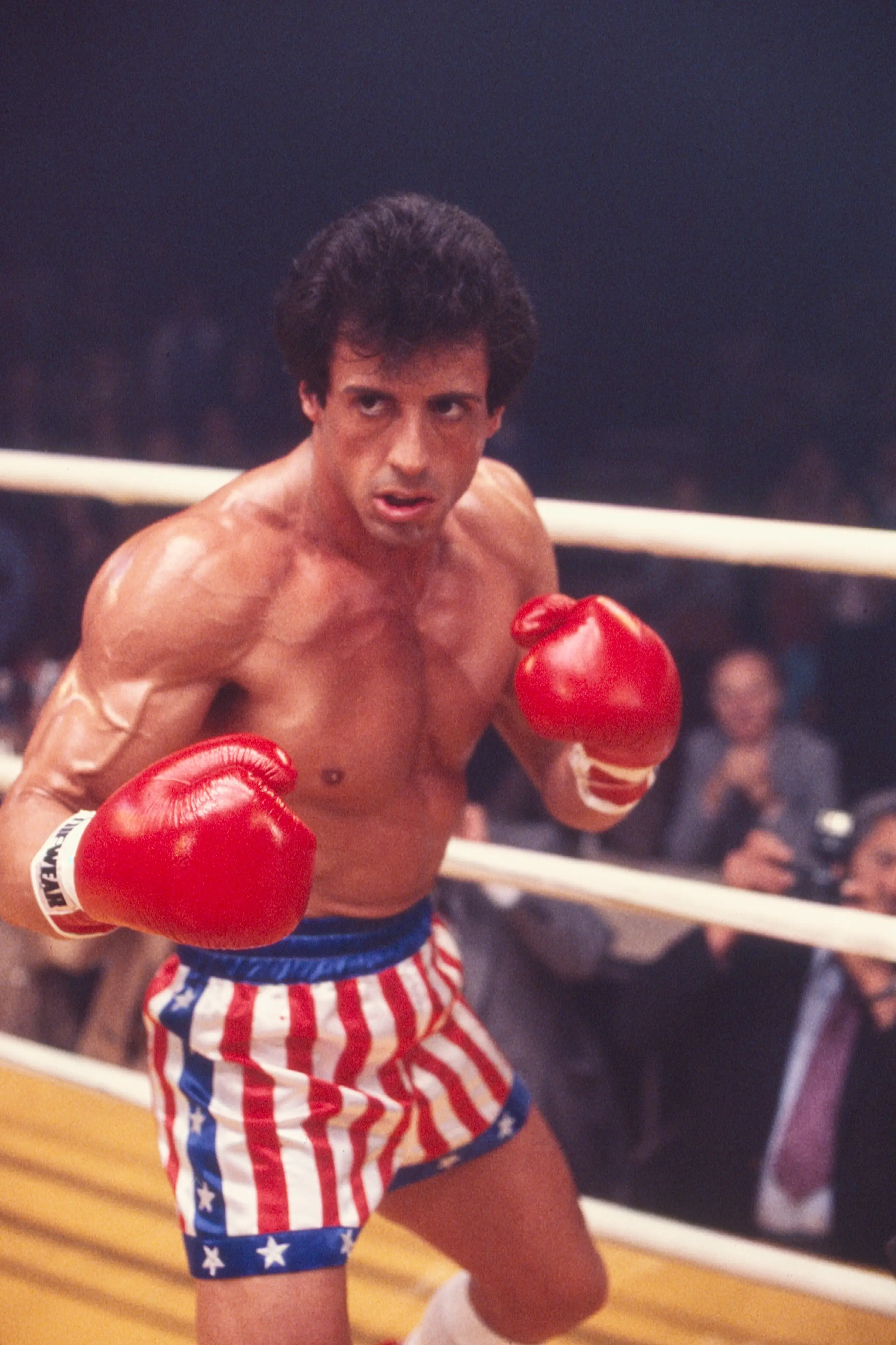 Maintaining the physique required for Rocky and Rambo sent Stallone down a dangerous path (James Drake/Getty Images)