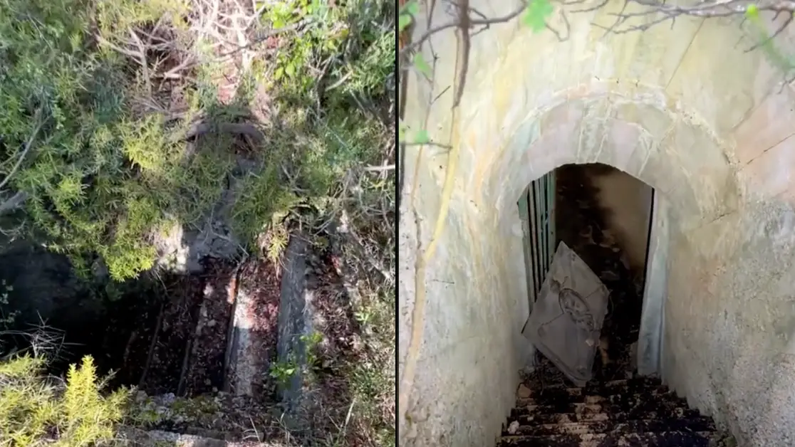 TikTok/joshtheintern