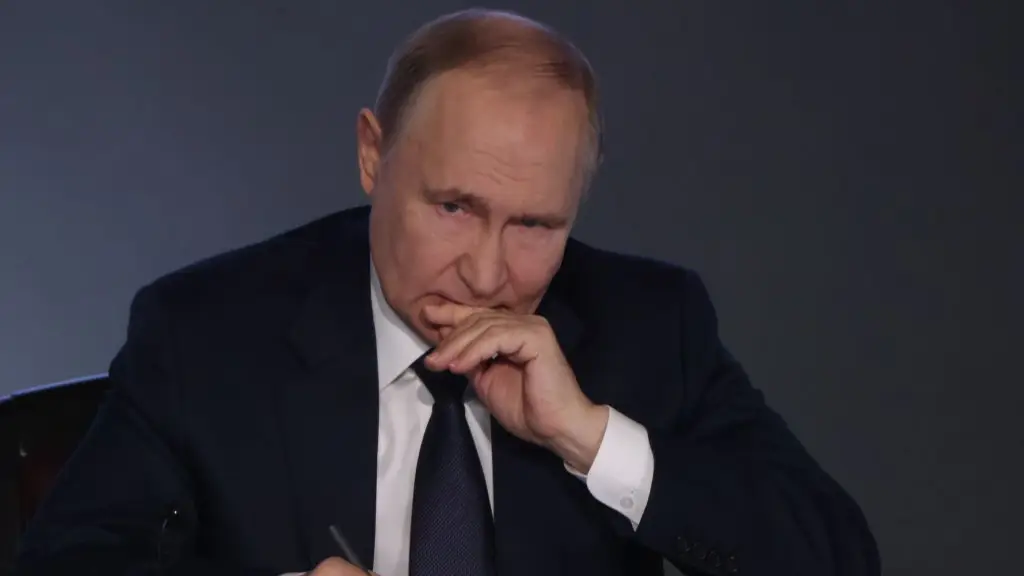 Contributor/Getty Images