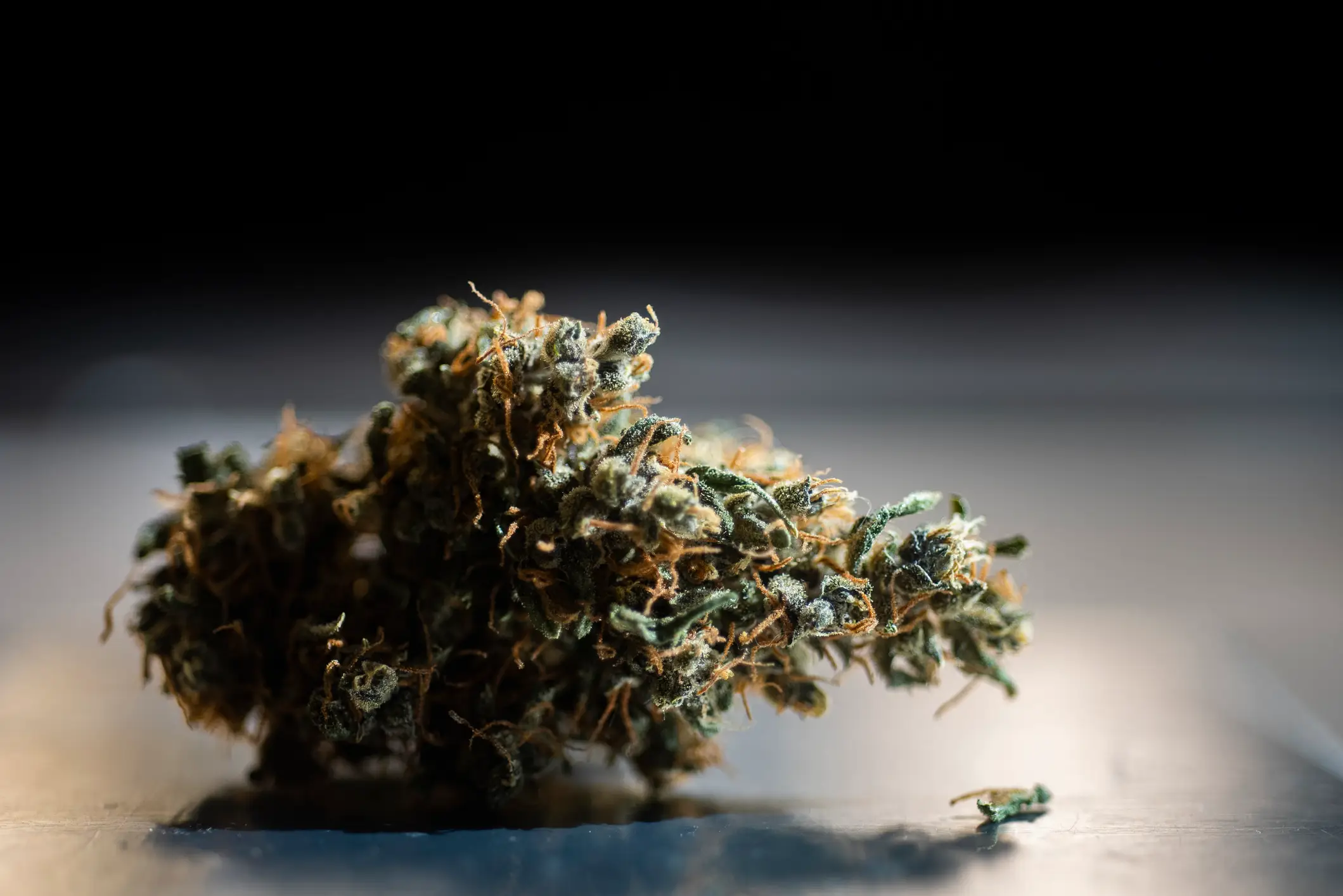 Kush is said to contain a mixture of cannabis, fentanyl, tramadol, formaldehyde and sometimes nitazenes (Getty Stock Images)