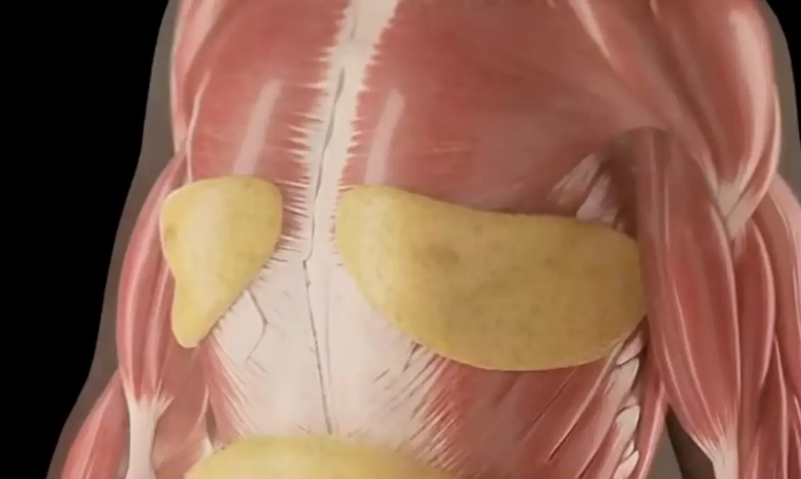 Too much junk food can increase the chances of obesity, heart disease and diabetes (YouTube/GrowFit Health)