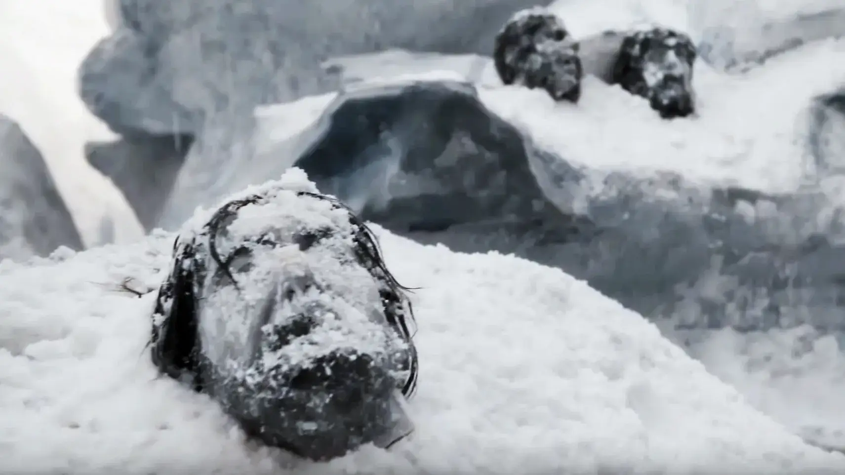 Sadly no member of either ship survived. (AMC)