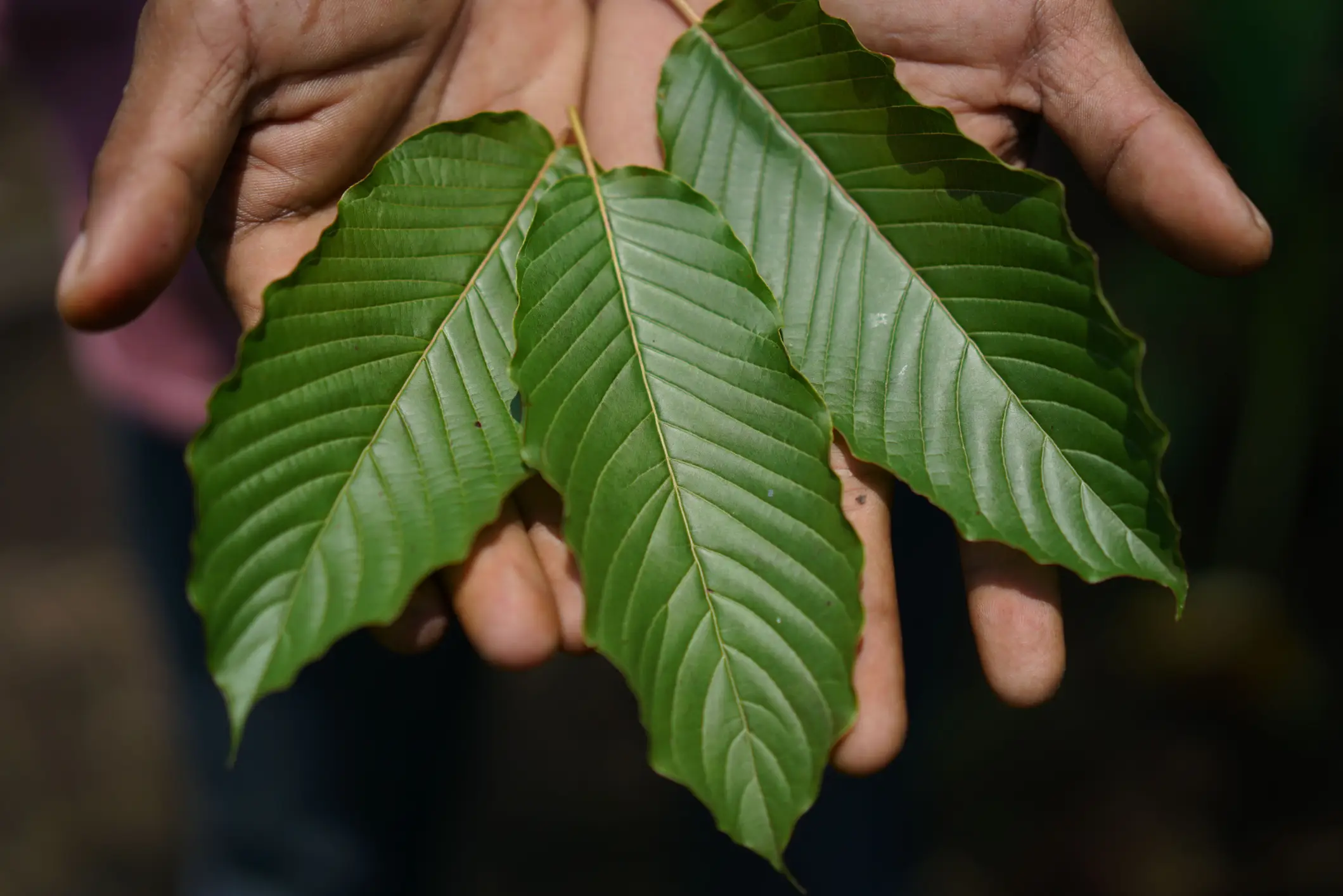 Gas station heroin is sweeping the streets (Bloomberg Creative Photos/Getty stock photo)