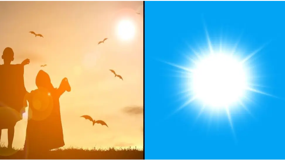 Valentyn Volkov / Alamy Stock Photo  EyeEm / Alamy Stock Photo