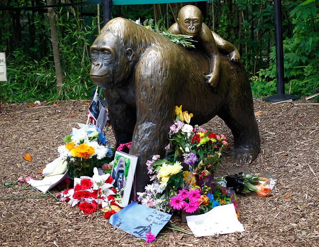 A statue of Harambe which was erected after his death (John Sommers II/Getty Images)