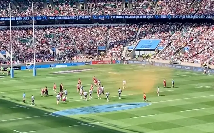 Players and security rushed to get the protester off the pitch.