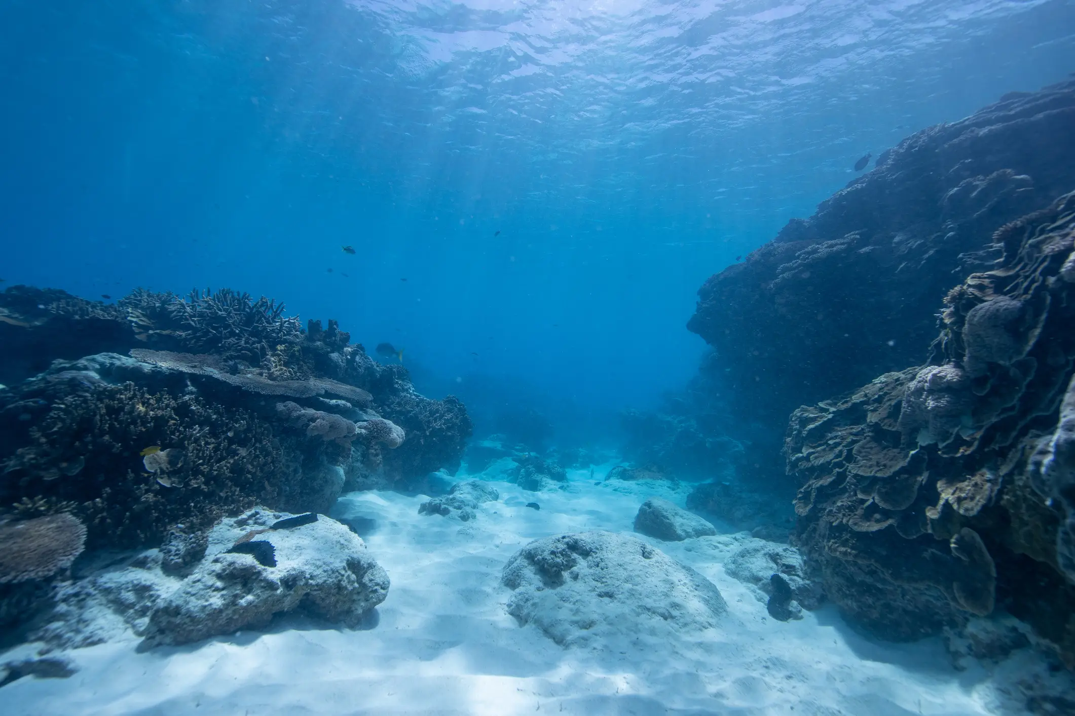 There's an awful lot going on down on the ocean floor... and with that comes a lot of strange sounds (Getty Stock Image)