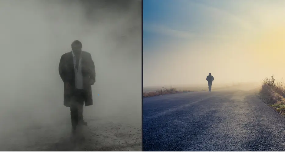 Patricia Phillips / Panther Media GmbH / Alamy Stock Photo