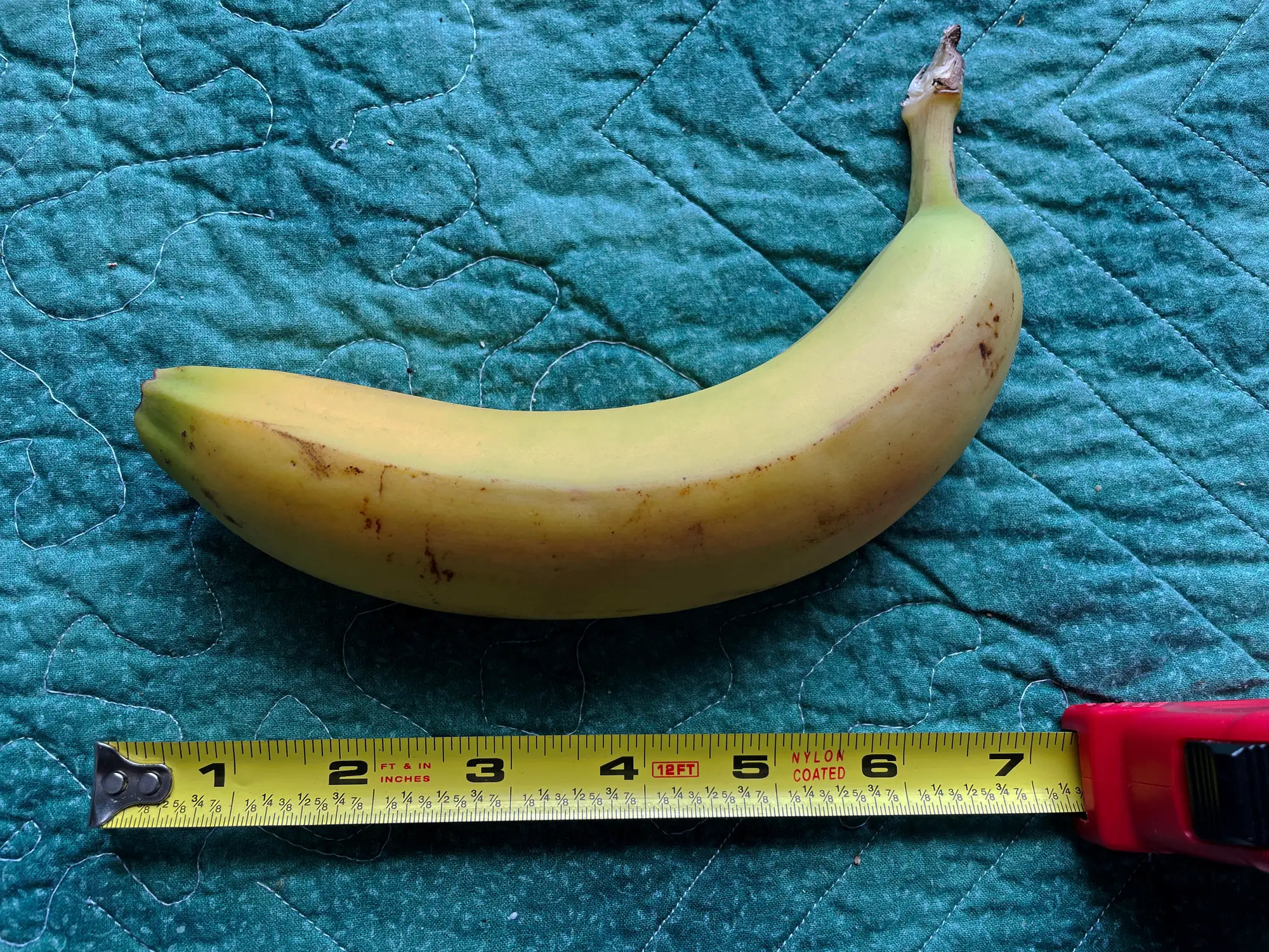 Science suggests that size really does matter, after all (Getty Stock Images)