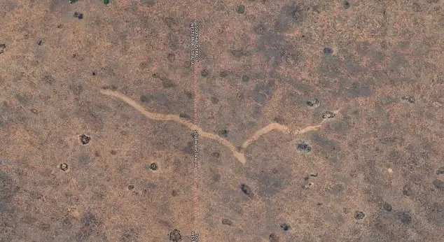 Satellite images of the Australian outback showed something very unexpected (Google)
