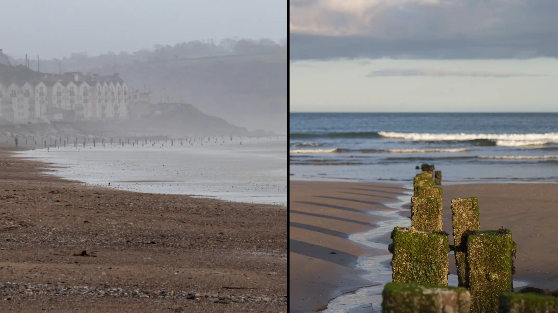 John Carey 2011/Marek Godlewski/via Getty Images