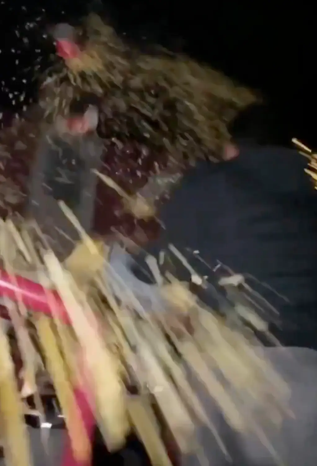 Maybe I'm getting old and boring when I say anyone doing this should be locked up in my eyes (X)