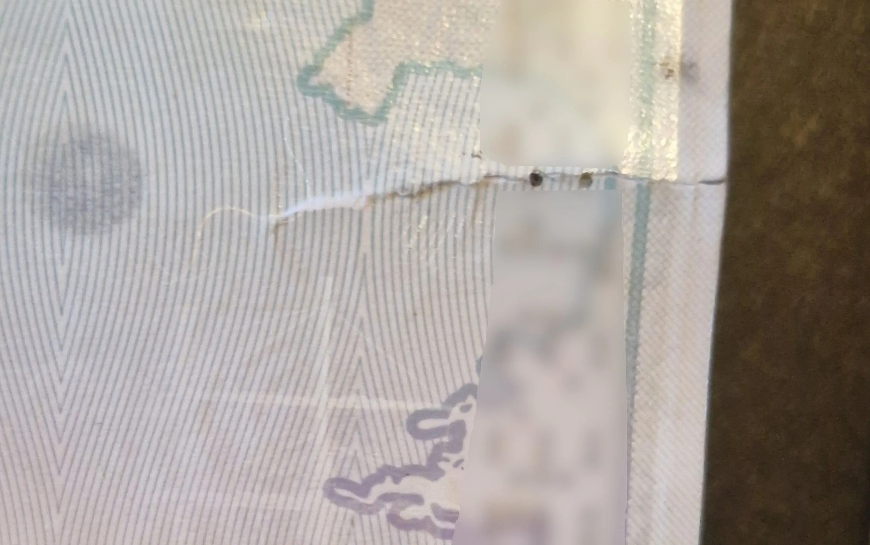The tear is about 1.5cm long, and if your passport has one it's considered damaged and may be unsuitable for travel (Kennedy News and Media)