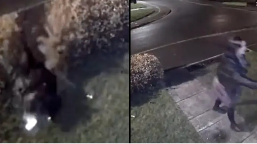 TikTok/nicolehutton2