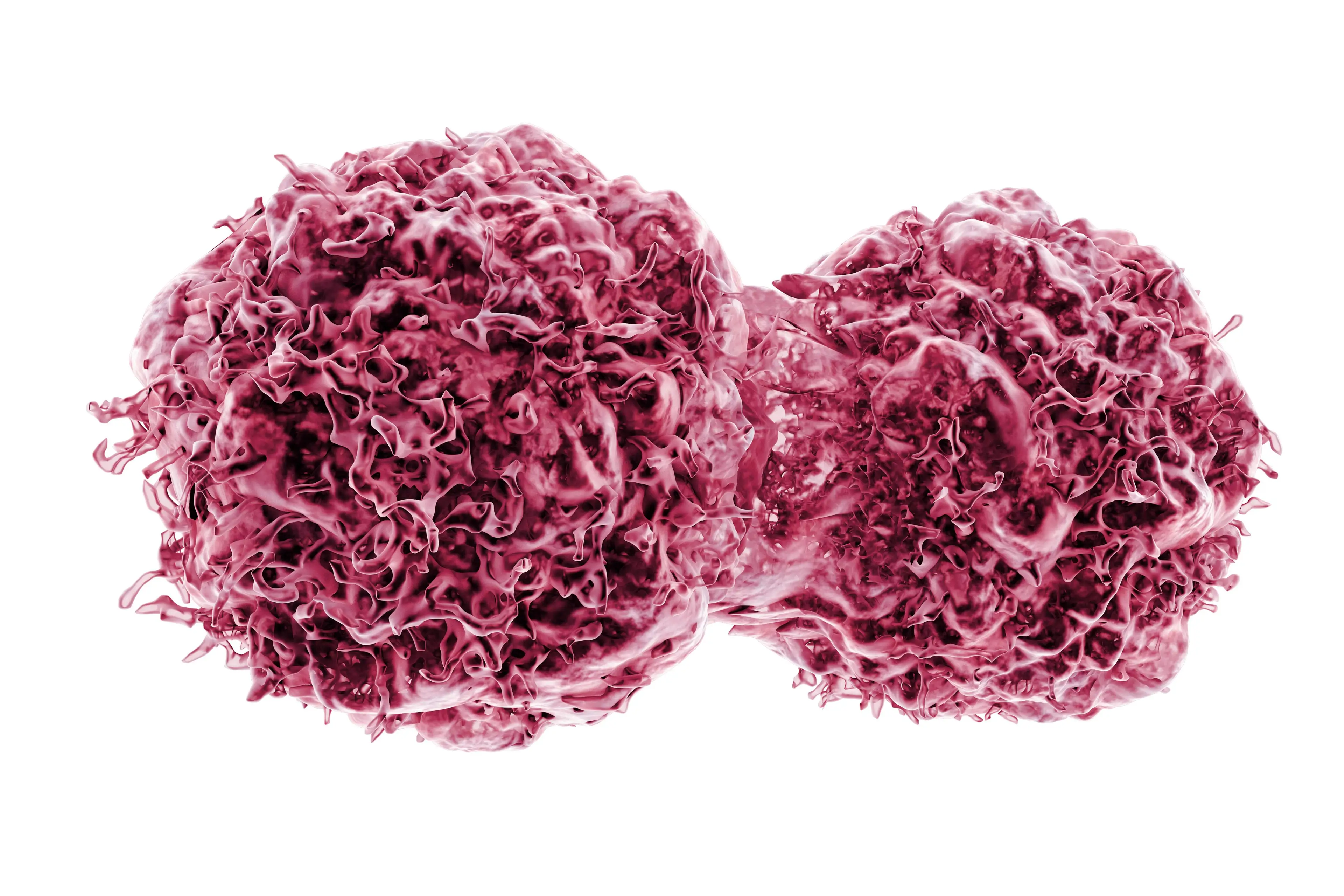 Research has suggested cannabis oil and magic mushrooms may have helped halt the spread of a woman’s cancer.