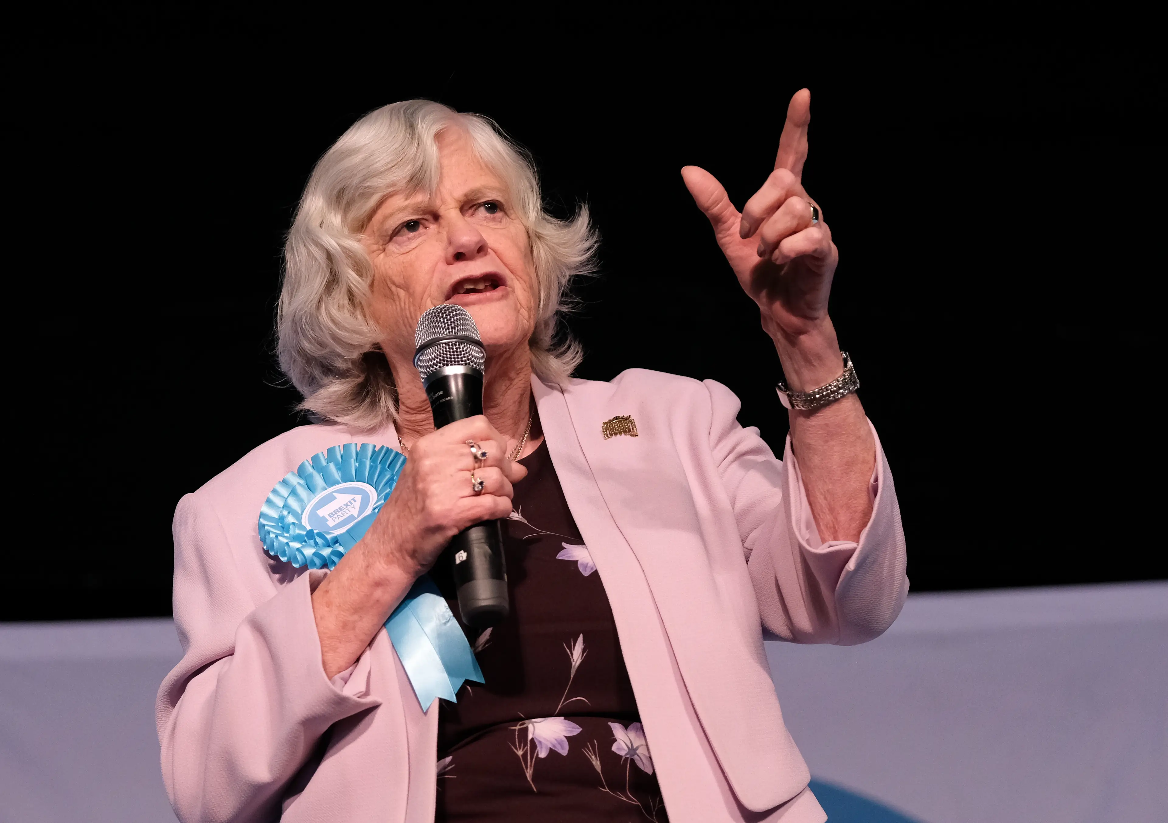 Widdecombe was a former Tory MP who became a spokesperson for Reform UK. (Ian Forsyth/Getty Images)