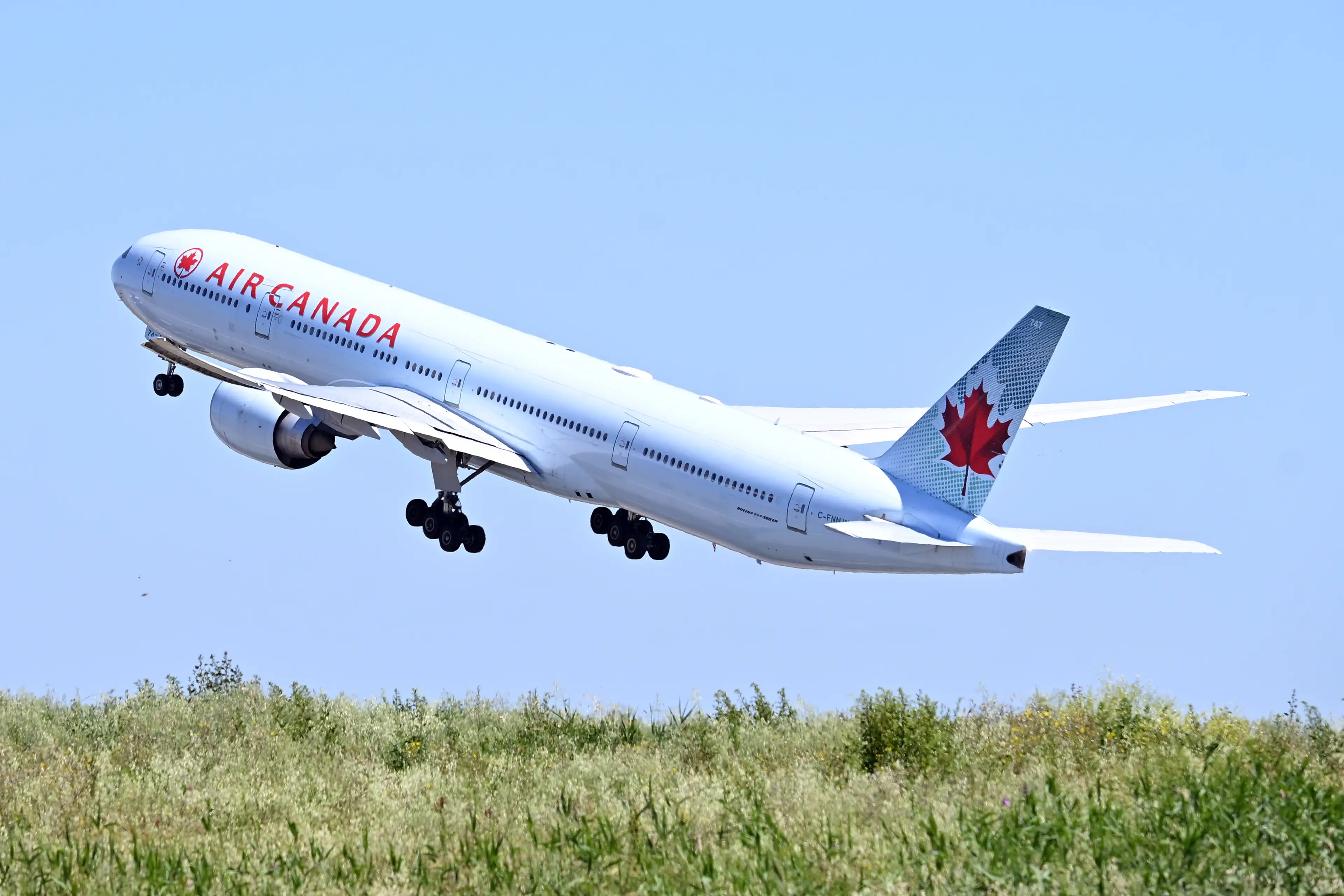 The Air Canada flight was diverted to another airport and landed safely (Massimo Insabato/Archivio Massimo Insabato/Mondadori Portfolio via Getty Images)