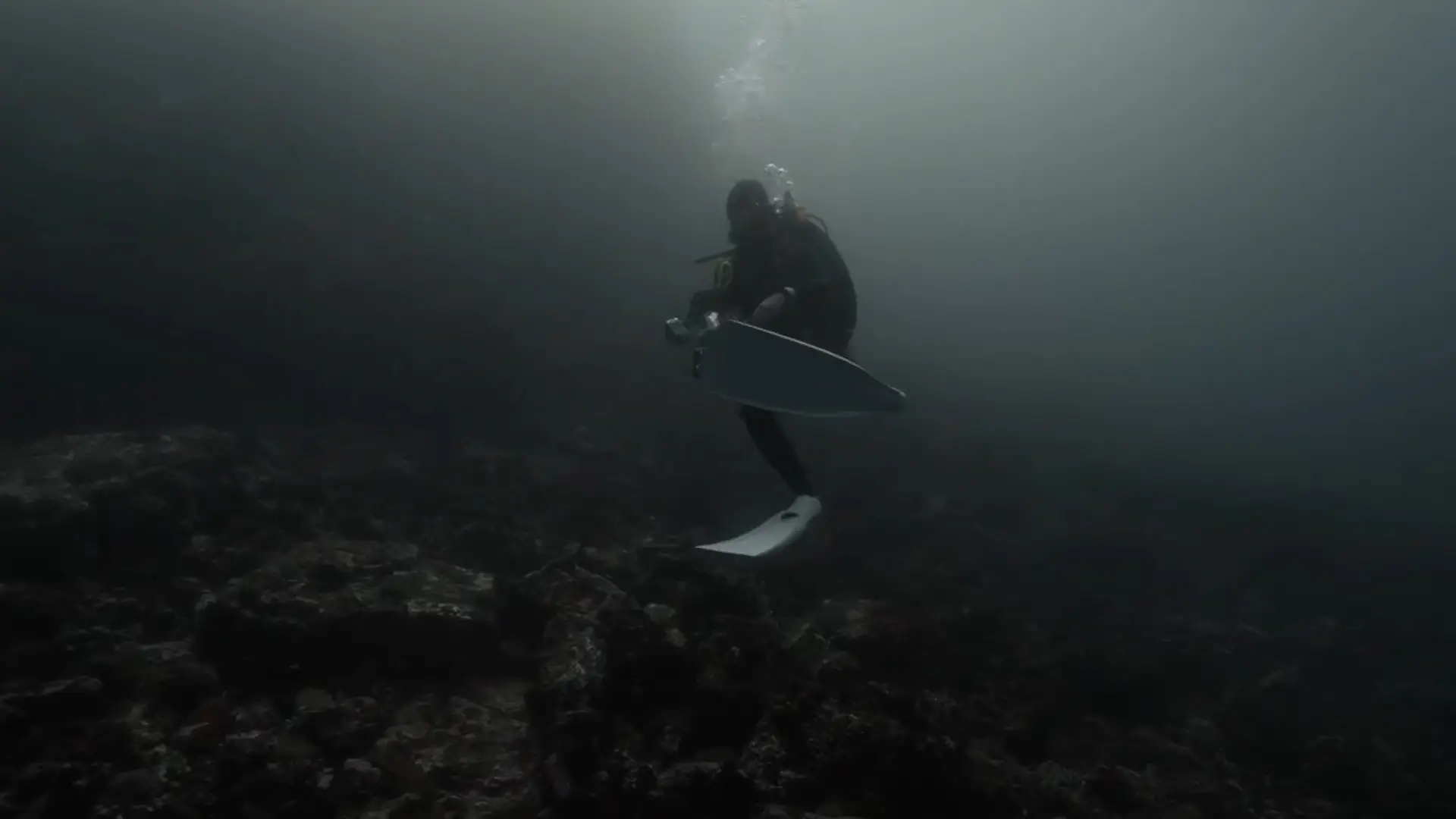 The coast guard found both bodies, but it was too late (ViralPress)