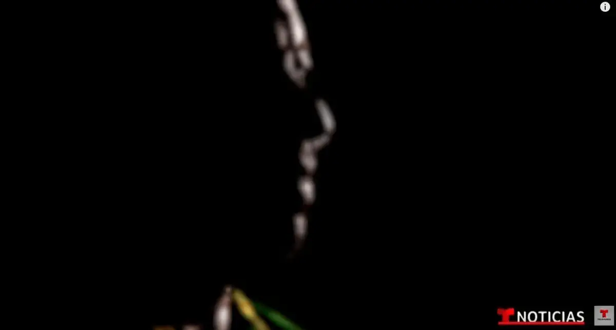 He was forced to eat human flesh as a way of desensitising him (CEN/Noticias Telemundo)