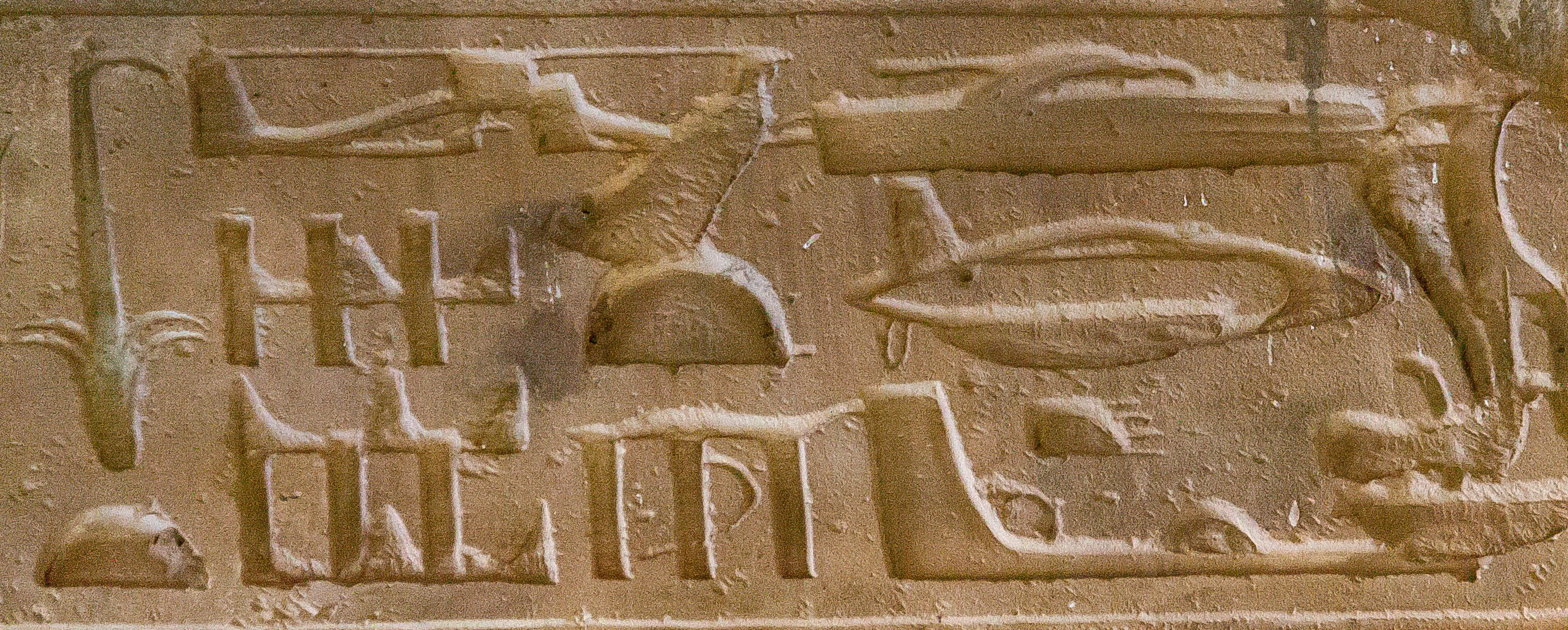 Some believe the presence of these plane-like structures could indicate that the Egyptians may have seen images of modern day aircraft.
