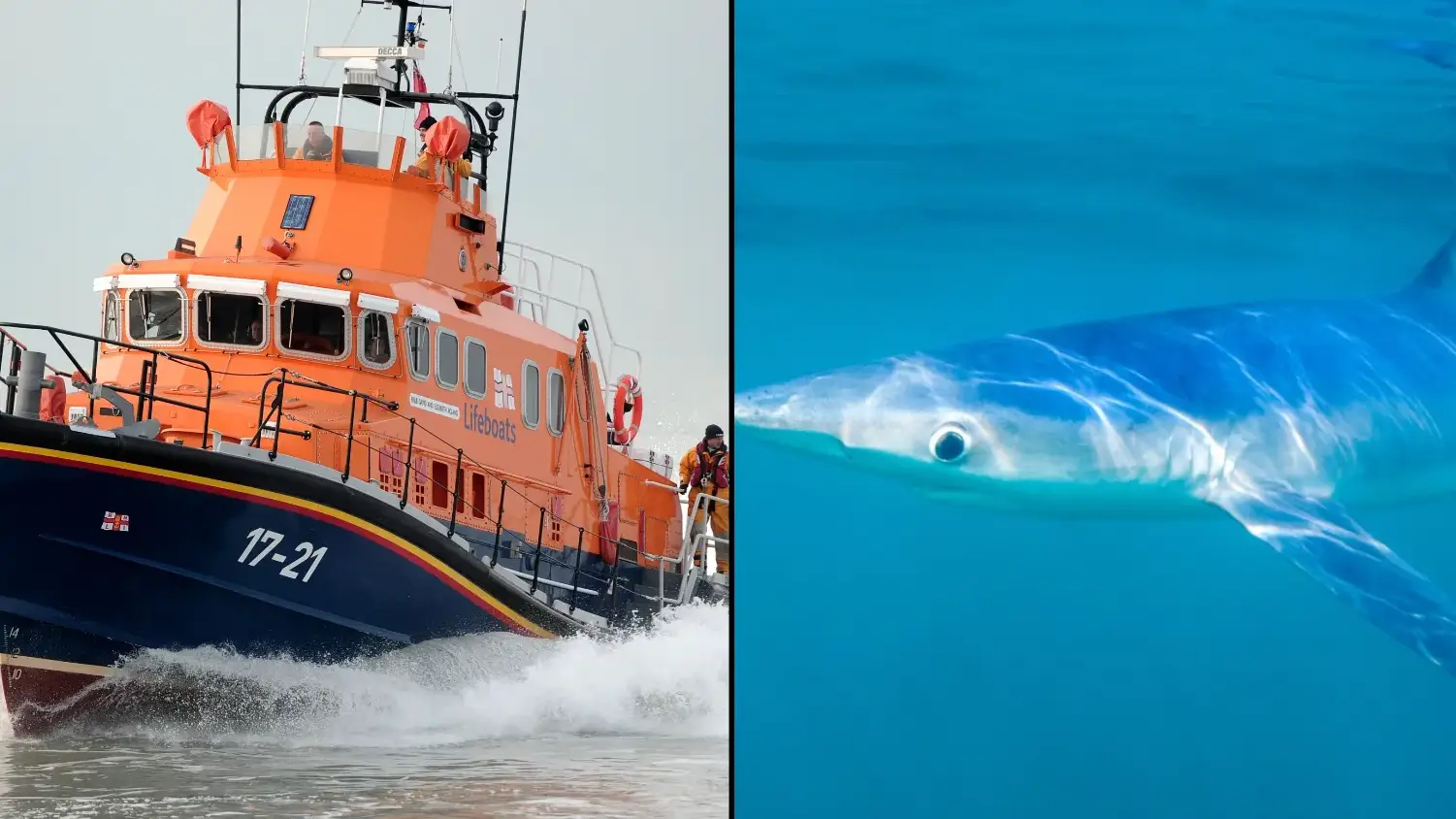 JANE MORGAN/Alamy/Peter Cripps/Alamy