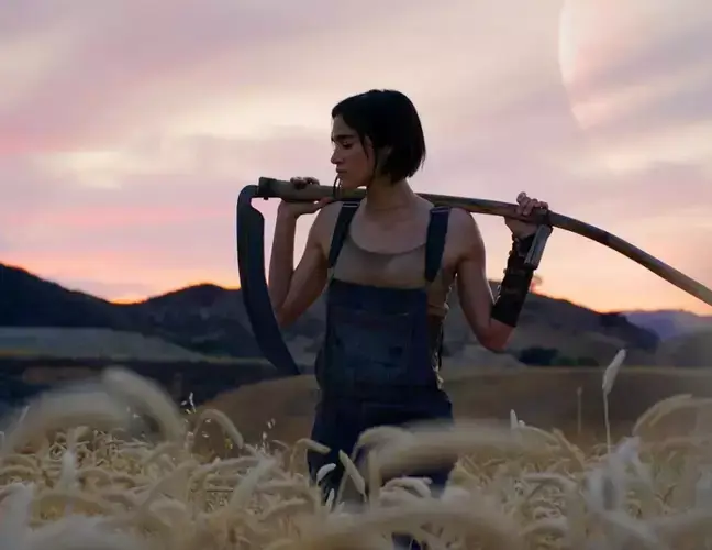 Zack Snyder's 'Rebel Moon' is estimated to have cost $166 million to make.