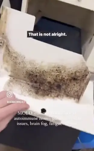 Viewers are now giving up ice forever (Ice Machine 411)